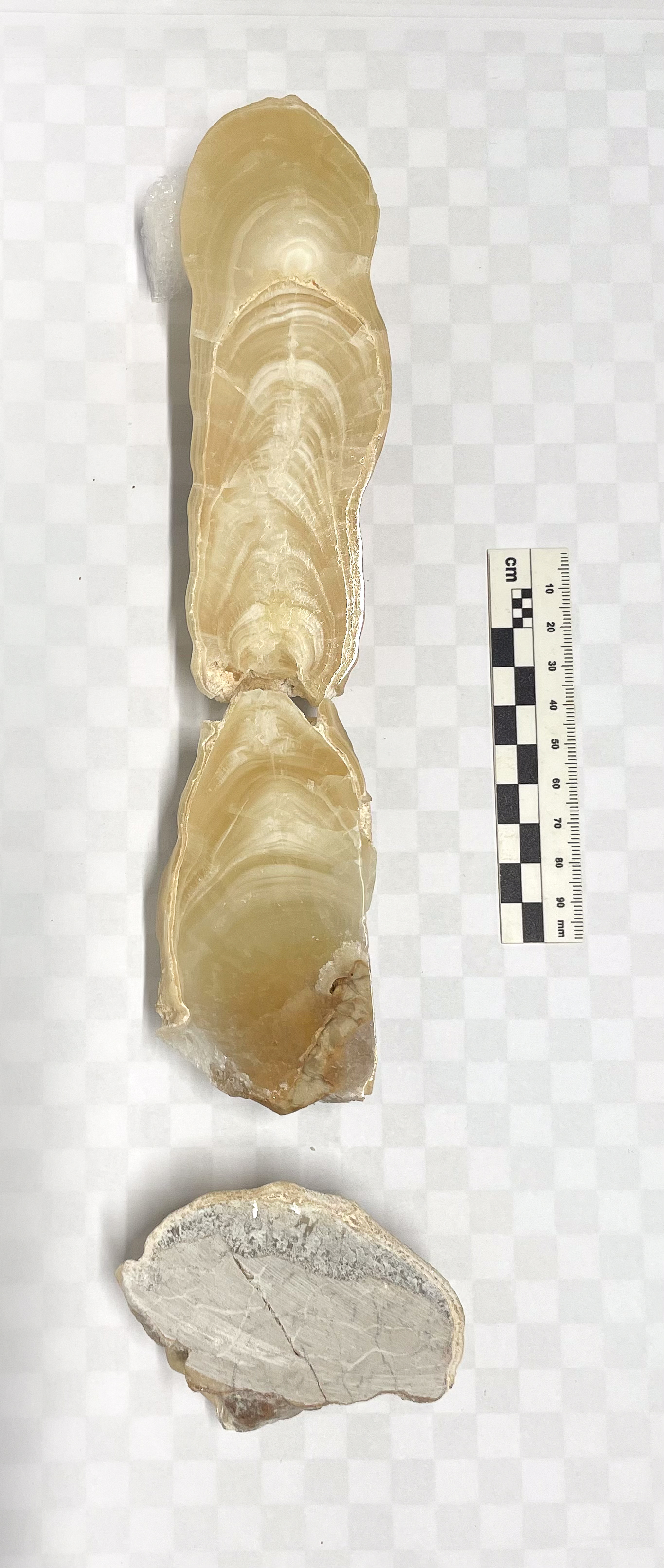 image sample