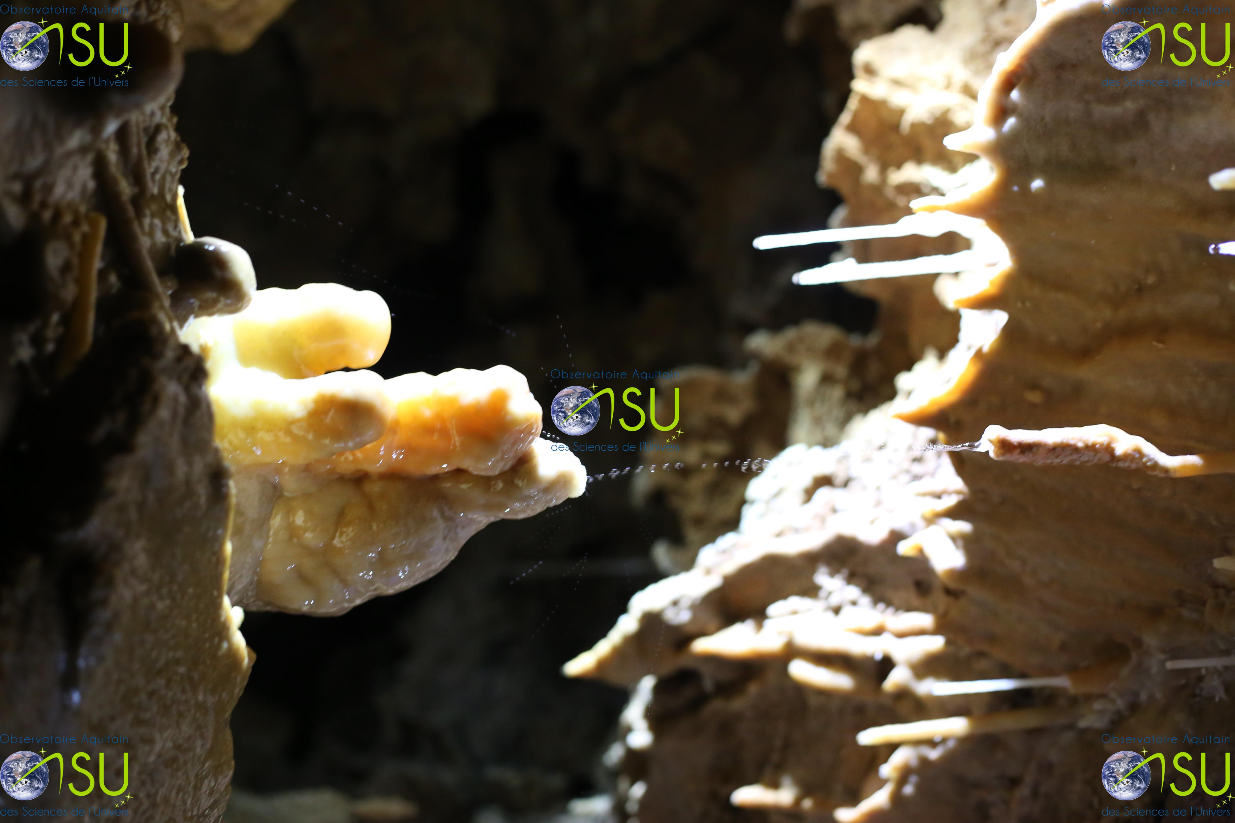 image site