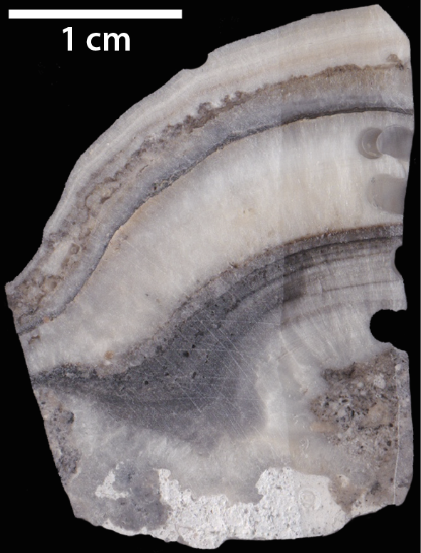 image sample