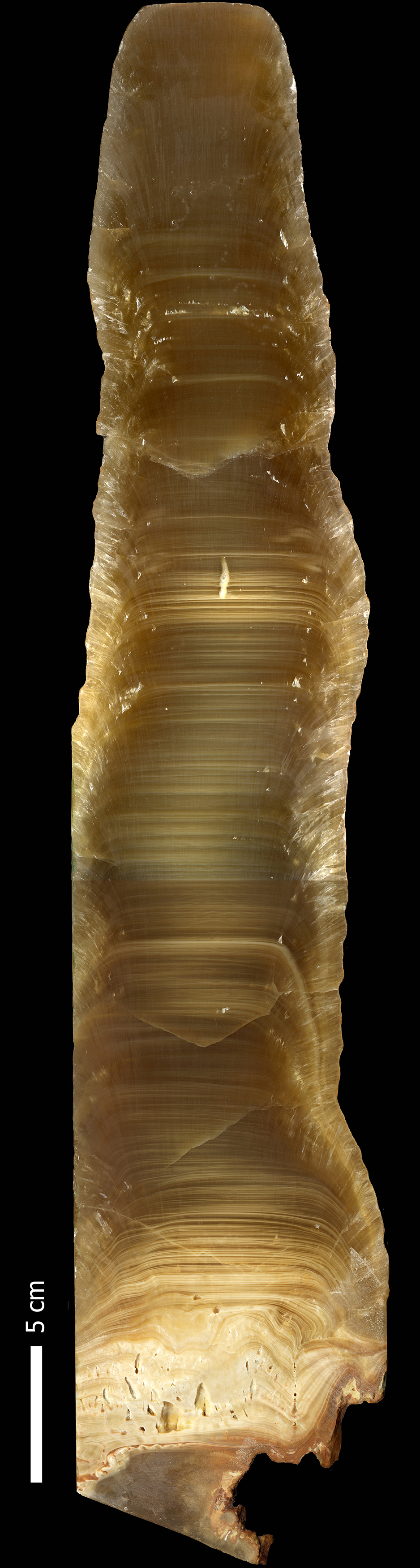 image sample