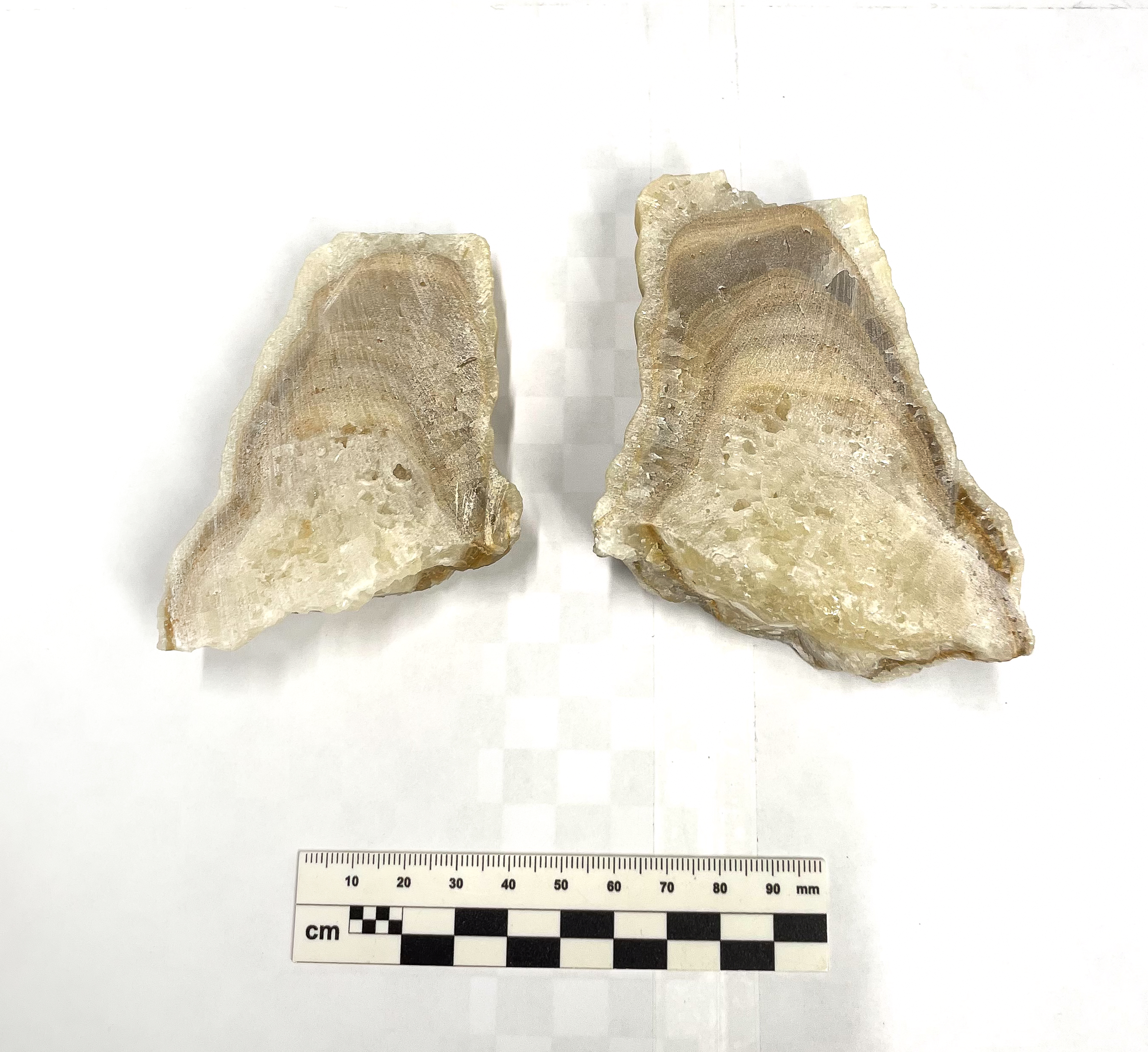 image sample