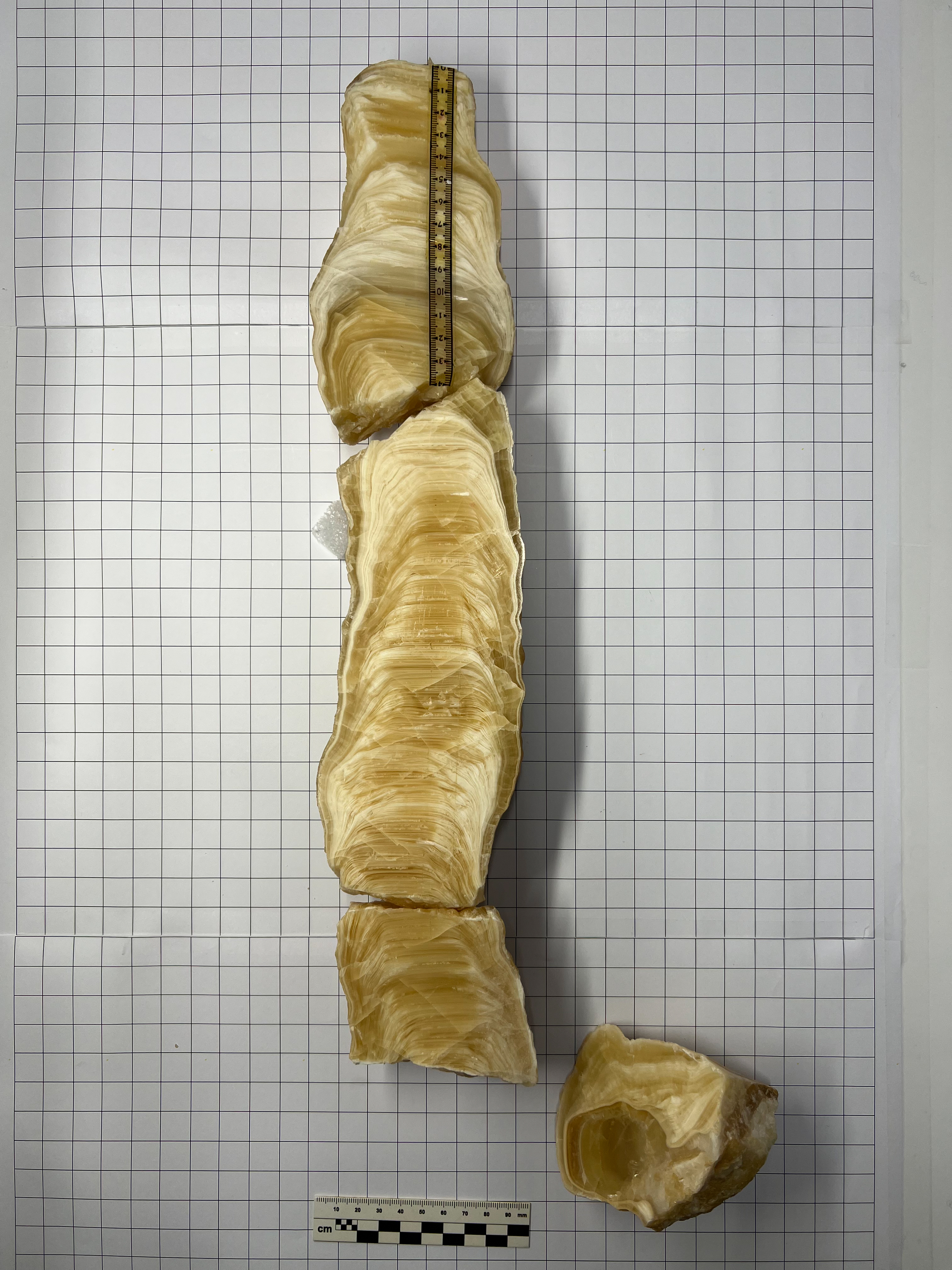 image sample