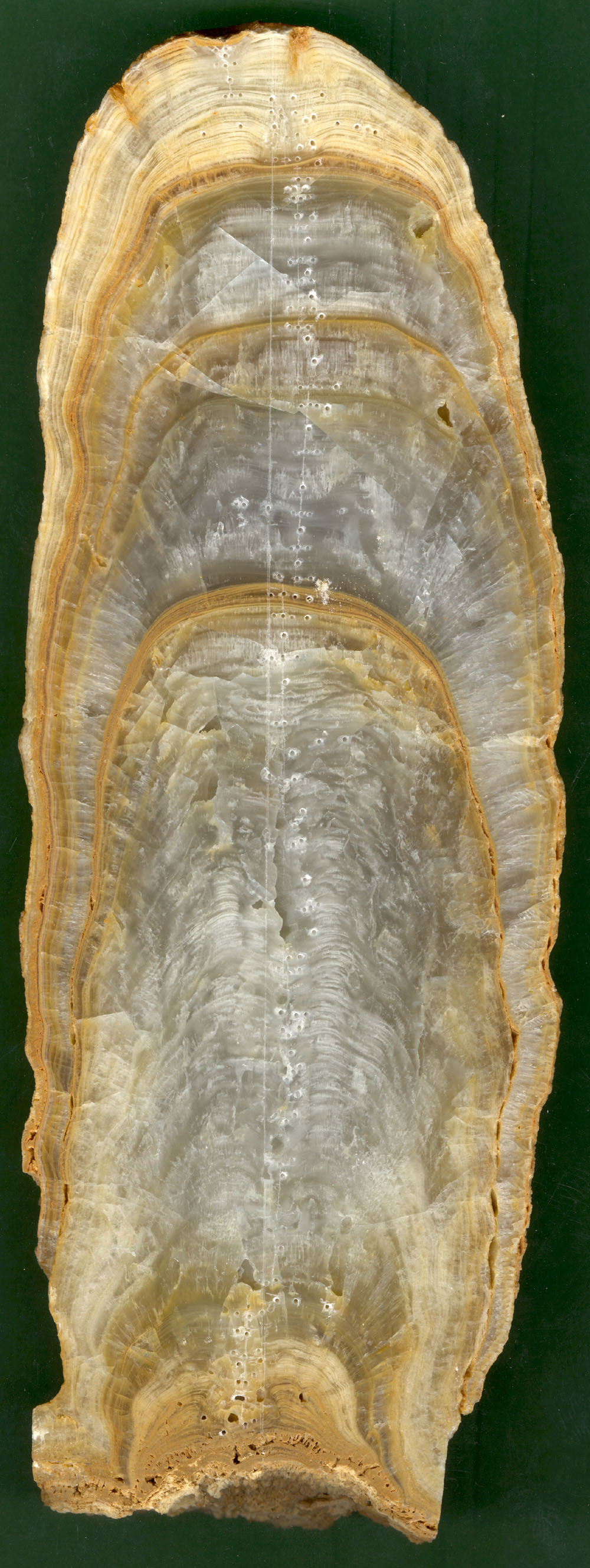 image sample