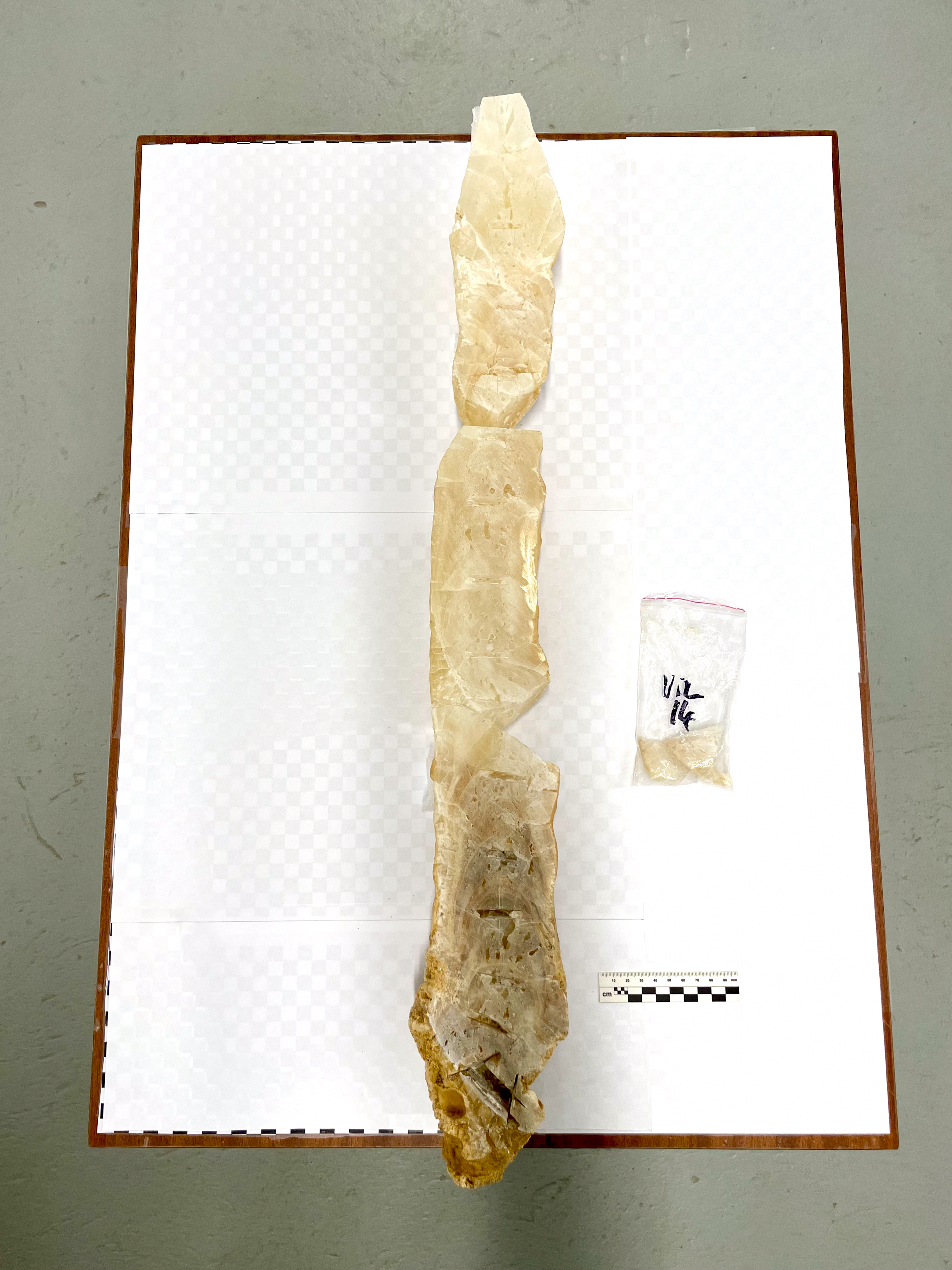 image sample