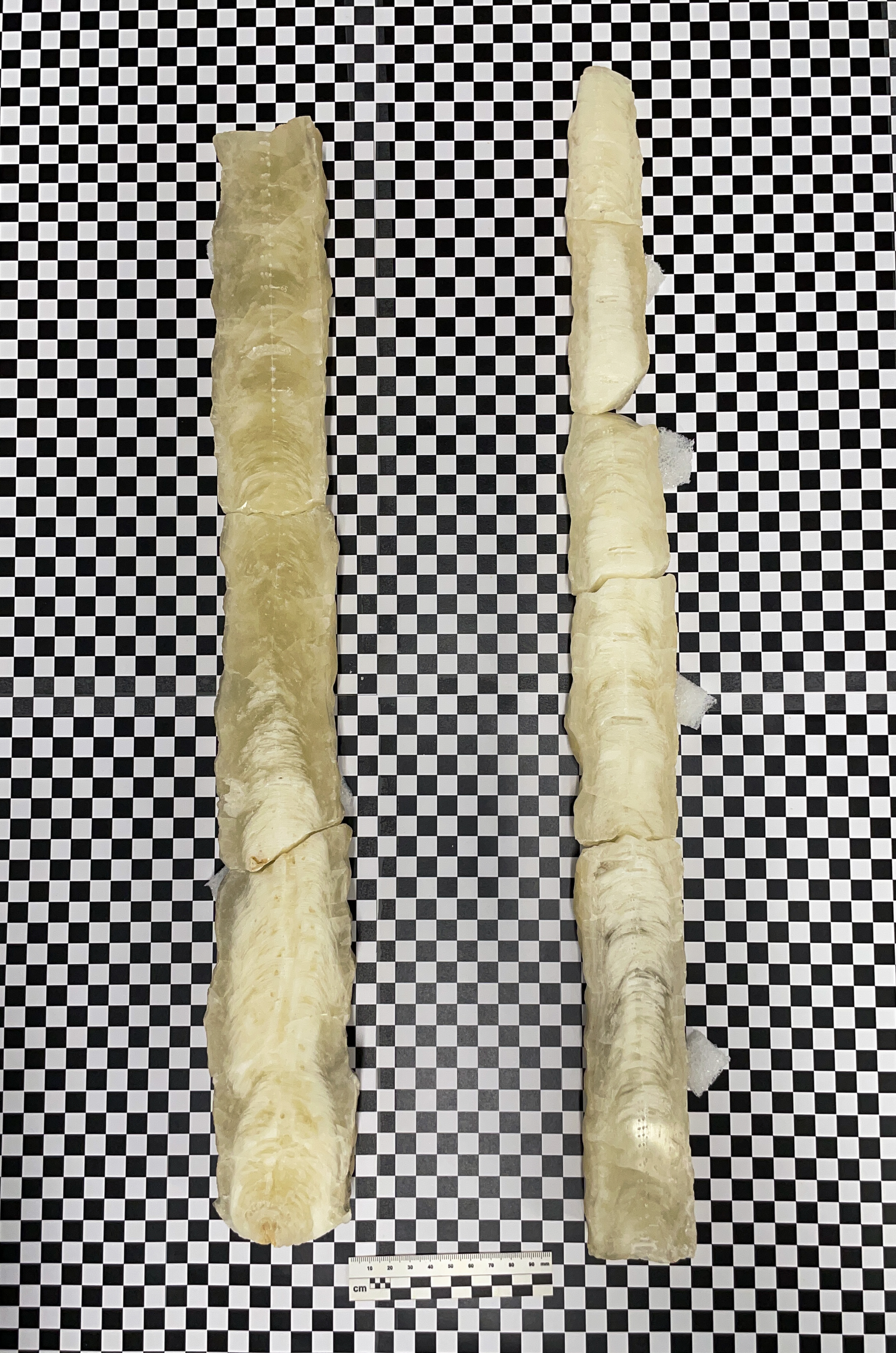 image sample