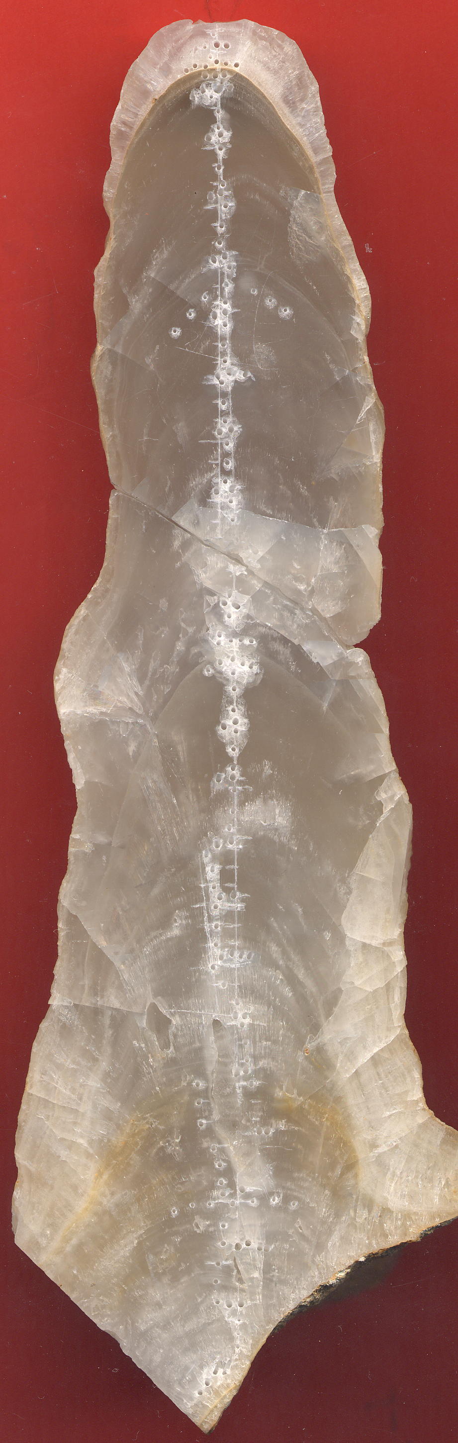 image sample